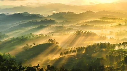 Rolgordijnen Beautiful aerial View of hilly landscape in morning mist with sun rays, banner format  © Ziyan