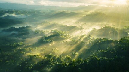 Fototapeta na wymiar Beautiful aerial View of hilly landscape in morning mist with sun rays, banner format 
