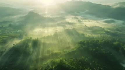 Rolgordijnen Beautiful aerial View of hilly landscape in morning mist with sun rays, banner format  © Ziyan