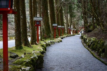 神秘的な小道