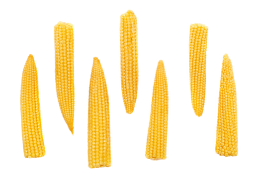 Set baby cooked corn for salad vegetable isolated on white, top view