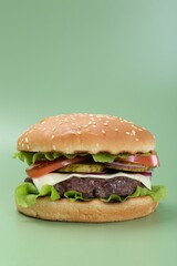 Burger with delicious patty on green background