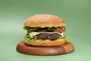 Burger with delicious patty on green background