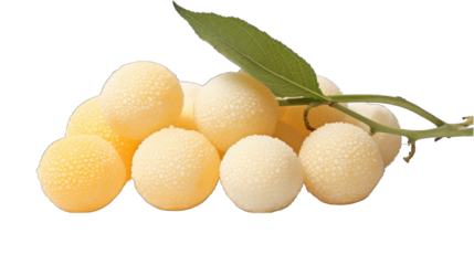 Close up of organic sab png / transparent