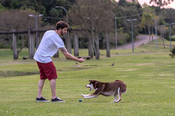 young man playing with a dog at a park on summer