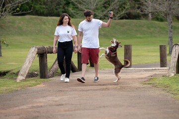 young couple walking their dog in the park in summer