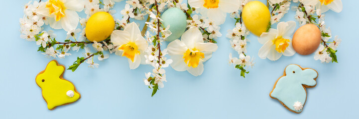 Festive banner with spring flowers and naturally colored eggs and Easter bunnies, white daffodils and cherry blossom branches on a blue pastel background