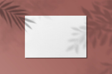 Square Paper Mockup with realistic shadows overlays leaf. Shadow Of A Tropical Plant. Template Flyer, Poster, blank, social media post, logo template in a trendy style On  Light red colour background