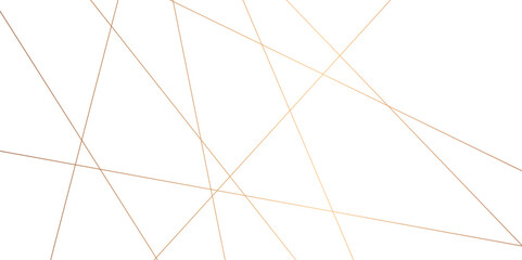  golden chaotic triangle lines abstract geometric pattern textrue. vector illustration. geometric design created using light gold digital net web line tecnology. white color in backdrop.