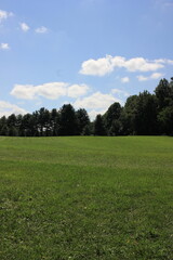 Fototapeta premium golf course with sky