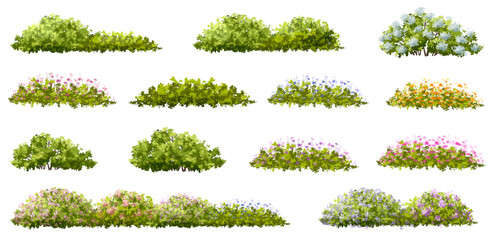 Vertor set of spring blossom tree,bloomimg plants side view for landscape elevation and section,eco environment concept design,watercolor illustration,colorful season