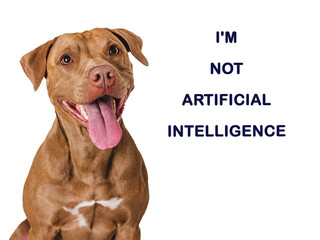 Cute dog and inscription about artificial intelligence. Close-up, indoors. Studio shot. Pets care...
