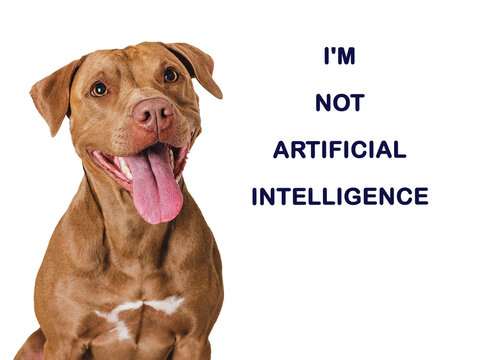Cute dog and inscription about artificial intelligence. Close-up, indoors. Studio shot. Pets care concept