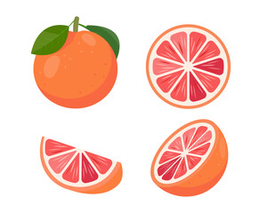 Fresh grapefruit or red orange set. Whole grapefruit with leaves, grapefruits slices and half of cut fruit. Organic fruits for juice or vitamin C healthy food. Vector illustration isolated.