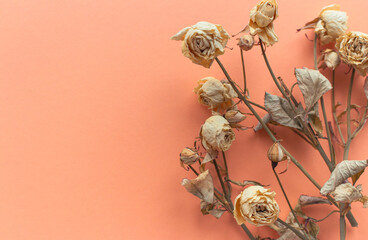 Dried flowers on peach fuzz color background. Withered mini roses with copy space. Sad love...