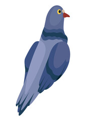 Funny pigeon character. Cartoon dove isolated on white background. Wild winged creature, urban fauna