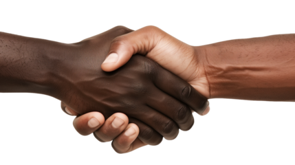 Two black man handshake. Deal with a project business.