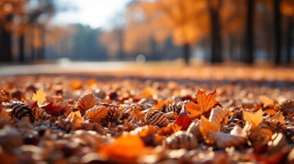 Autumn forest with leaves in vibrant hues of orange, red, and yellow, a carpet of fallen leaves on the ground, capturing the essence of fall's transformation, P
