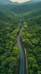 Forest Road view from above, Aerial view asphalt road in tropical tree forest