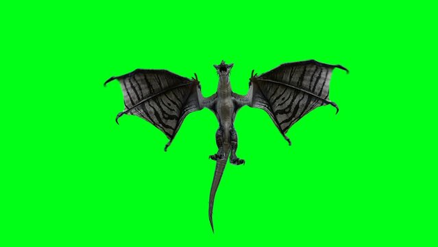 flying horror dragon. Fantasy concept. 4K green screen isolate