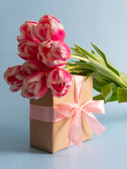 Spring flowers banner Pink tulips with a gift with a pink satin bow on a blue background. International women's day background
