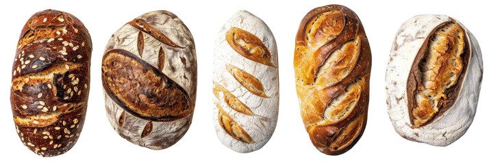 Artisan Bread Loaf Collection - obrazy, fototapety, plakaty
