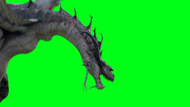 flying horror dragon. Fantasy concept. 4K green screen isolate
