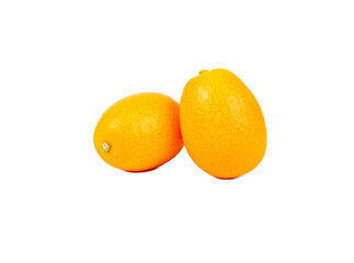 Two kumquat fruit isolate