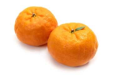 ミカン科の柑橘類、ポンカン