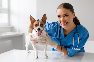 Happy Jack Russell Terrier with woman vet after successful check-up