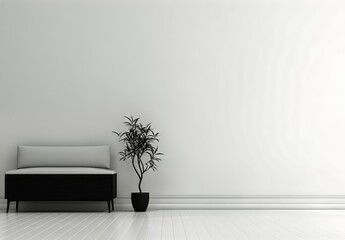 white couch with a plant in a black pot on the floor