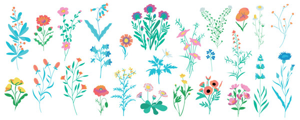 Field flowers mega set in cartoon graphic design. Bundle elements of chamomile, cornflower, poppy, bluebell, daisy and other wildflowers and flowering herbs. Vector illustration isolated objects - obrazy, fototapety, plakaty
