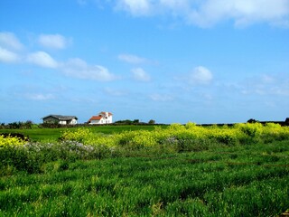 Obraz premium korea jeju island landsacpe