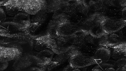 Abstract background. The color texture. The image includes black and white tone effects.