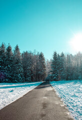 Winter scene, road to the forest. On a beautiful winter day, snow-covered Christmas trees under a blue sky
