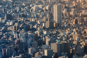 View from the Skytree TV tower to the city of Tokyo. Dense urban development with high-rise buildings. Very beautiful from above.