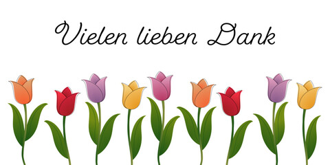 Vielen lieben Dank - Schriftzug in deutscher Sprache. Dankeskarte mit bunten Tulpen - obrazy, fototapety, plakaty