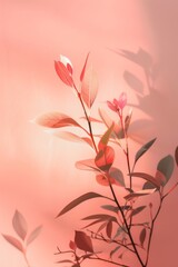 Obraz premium plants with calm pink background