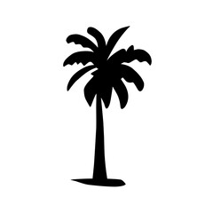 black palm silhouette
