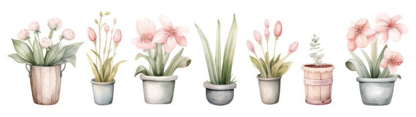 watercolor painting style illustration of cute pastel flower pot plants collection set