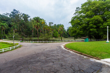 Fototapeta premium SÃO PAULO, SP, BRAZIL - FEBRUARY 03, 2024: Panoramic view of Alberto Lofgren State Park, better known as Horto Florestal (Forest Garden).