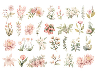 Spring flowers set Vintage pastel flowering plants, isolated on white background