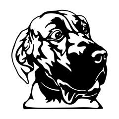 Peeking Great Dane - Dog lover owner gift - Dog cut file - Peeking Dog Cut Stencil