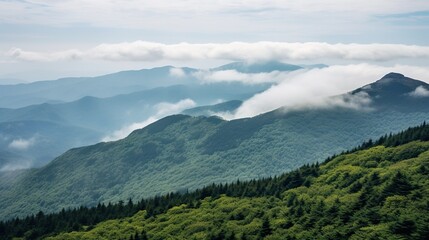 Mountains with sea fog below,misty mountain top and cloud bed view,