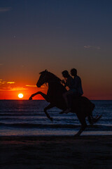 Two friends on the back of an horse, rearing during sunset at the sea