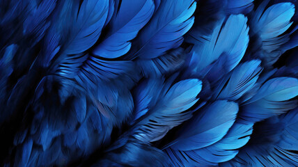 Close up of red feathers, red background