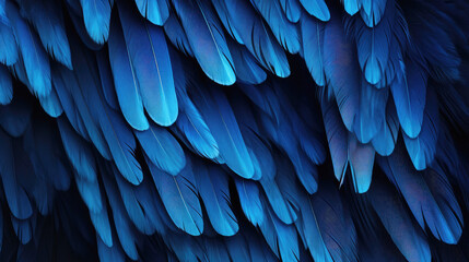 Close up of red feathers, red background