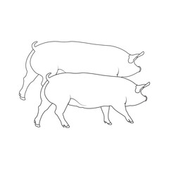 Pig icon vector