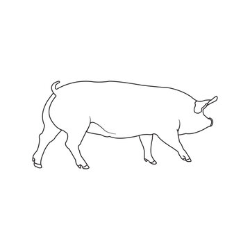 Pig icon vector