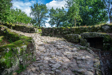 Main street of amazing Archaeological site of Citania de Briteiros flanked by trees. Guimarães, Portugal